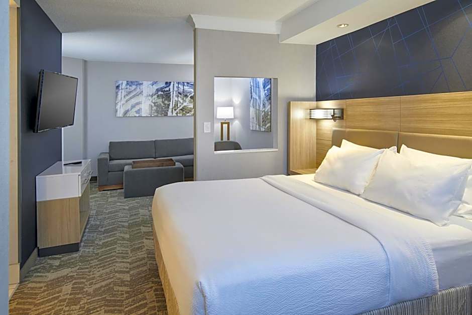 SpringHill Suites by Marriott Detroit Southfield