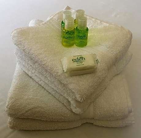 Family Room (2 Adults + 1 Child)