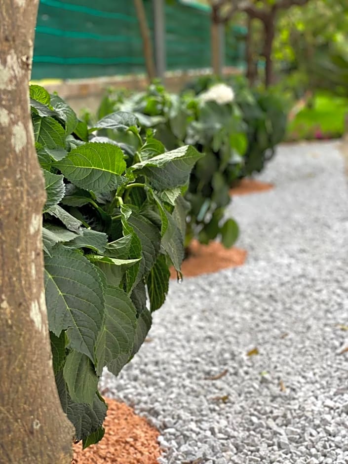 Music House Palinuro