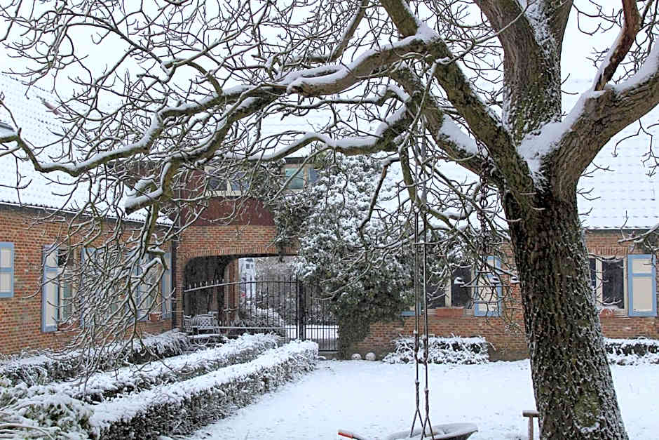 Saffels Nest 33