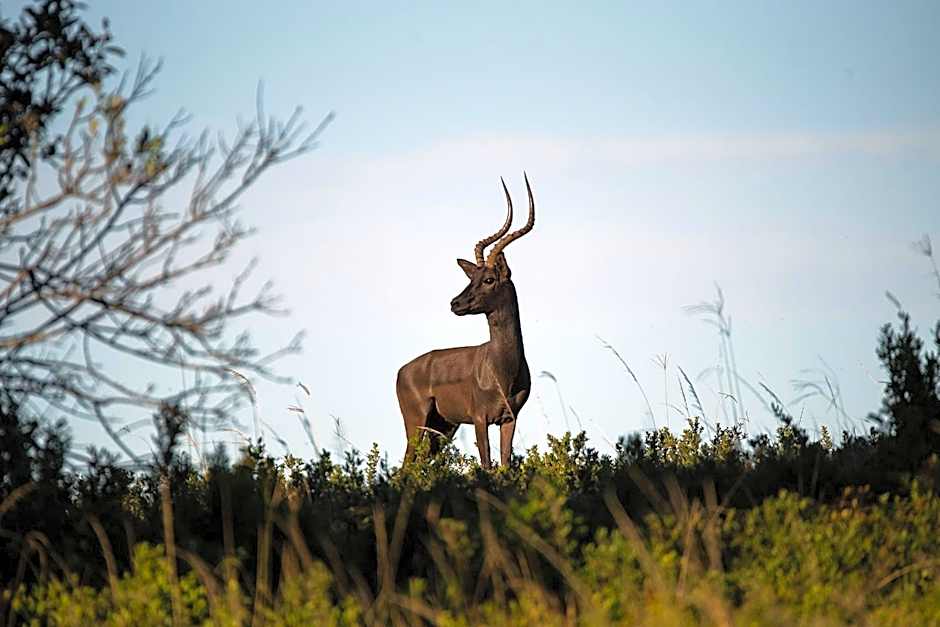 Oceana Beach and Wildlife Reserve