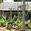 Sam's House Guesthouse