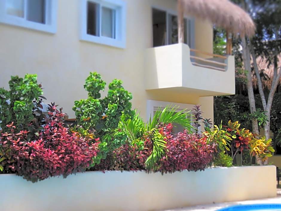 Hotel & Suites Oasis Bacalar