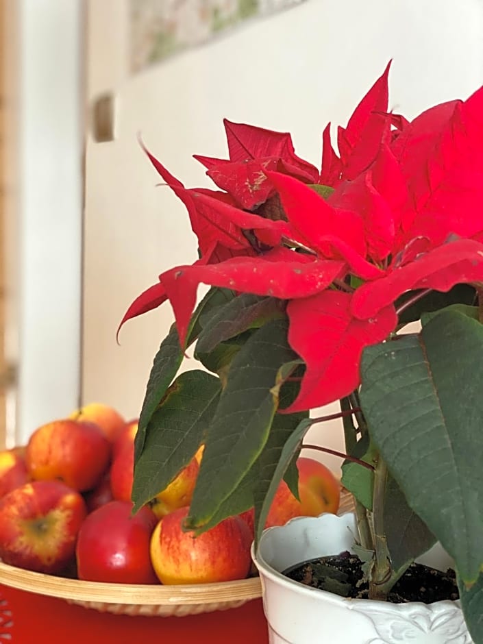 Siumno Izba B&B Brzegi