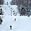 Timberline Lodge, Downtown Ellicottville - Near Ski Resort