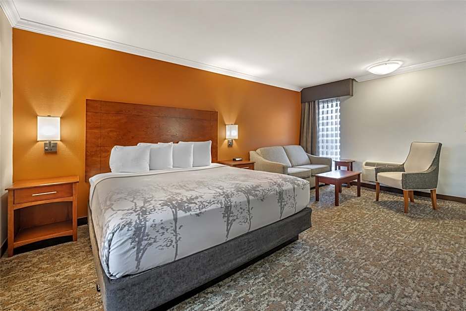 Photo 1 of 8 of 1 King Bed with Sofabed, Hearing/Mobility Accessible, Bathtub