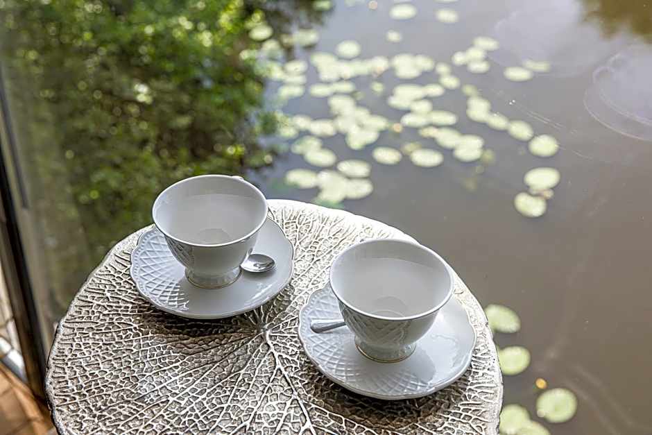 AKIS namelis medyje- Dinosaur Park