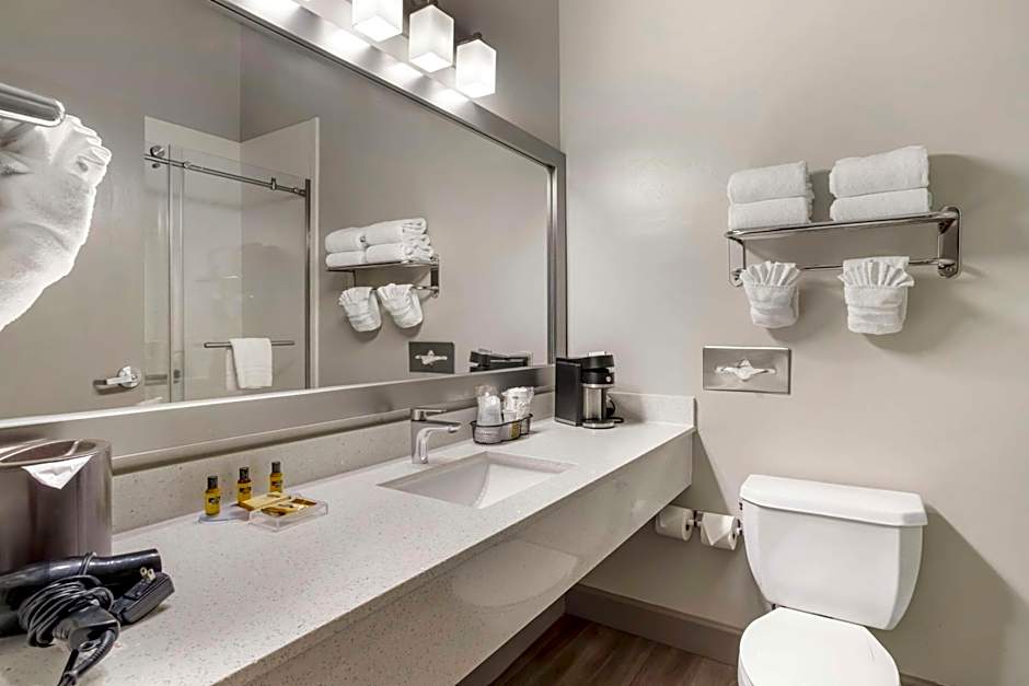 Best Western Plus Hobby Airport Inn & Suites