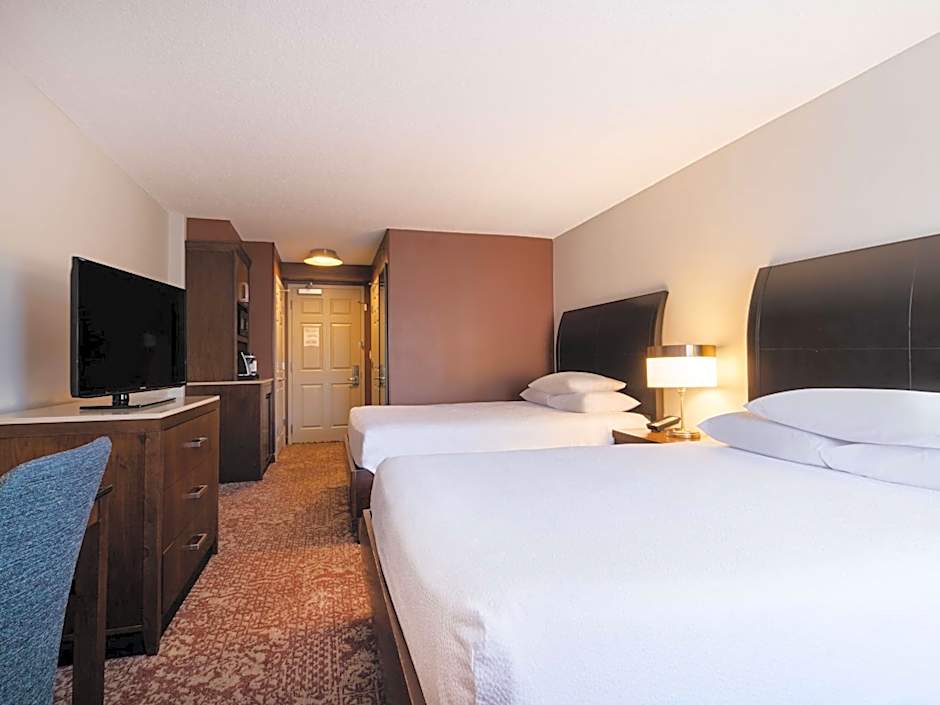 Hilton Garden Inn Chicago Downtown/Magnificent Mile