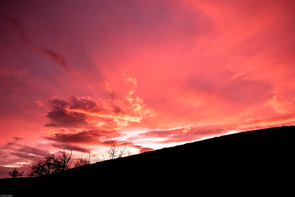 Ruhige Zimmer im Grünen und Studio im Naherholungsgebiet