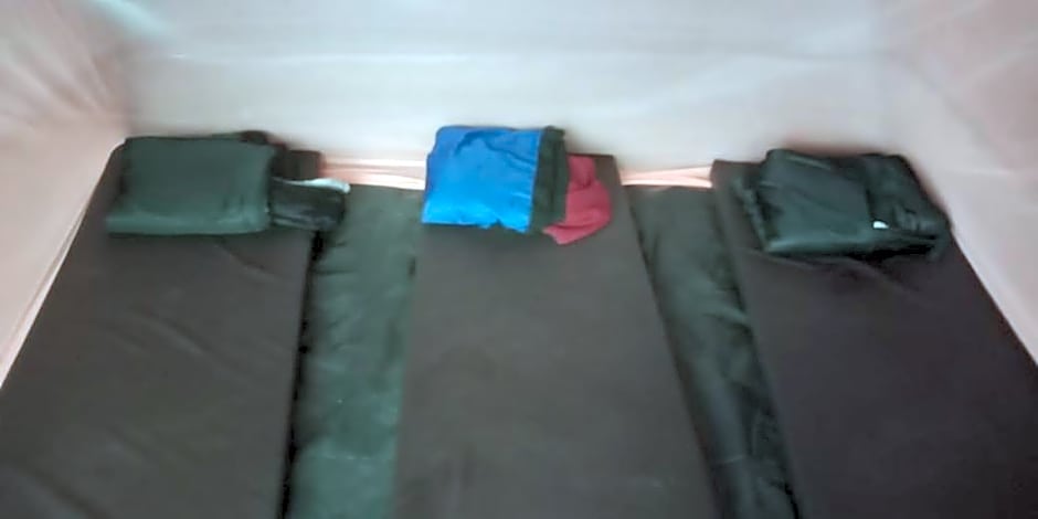 Umiyuki jungle tour only treking with us