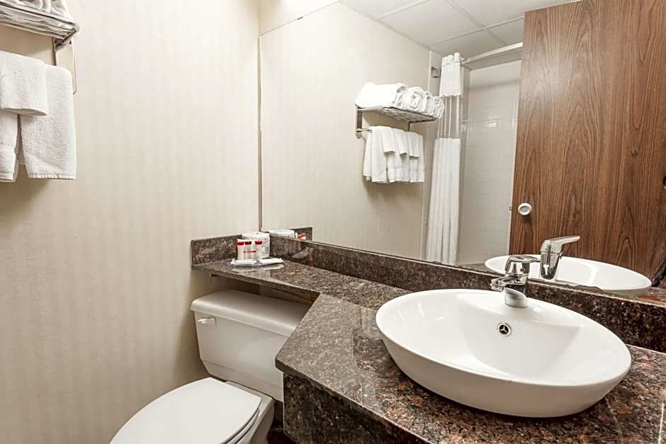 Photo 1 of 1 of Courtyard 2 Queen Beds, Pet-Friendly