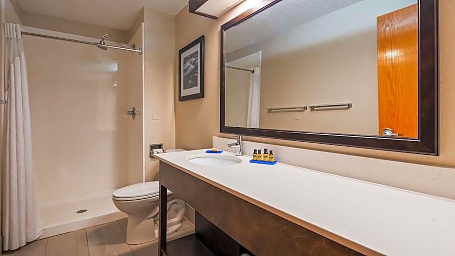 BEST WESTERN PLUS HUDSON HOTEL