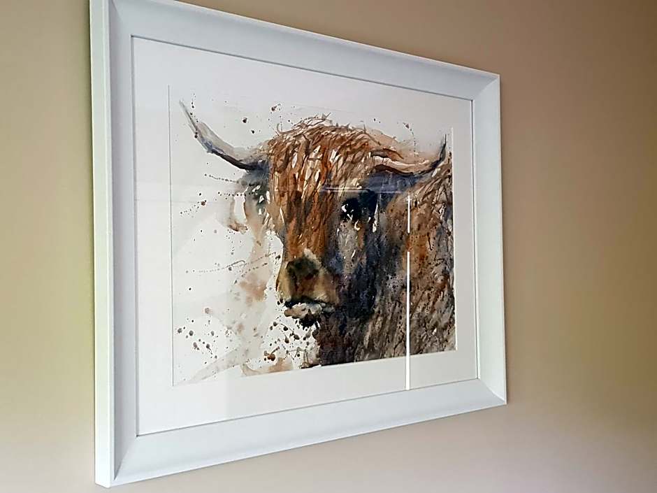 Willowbank House and Lodges