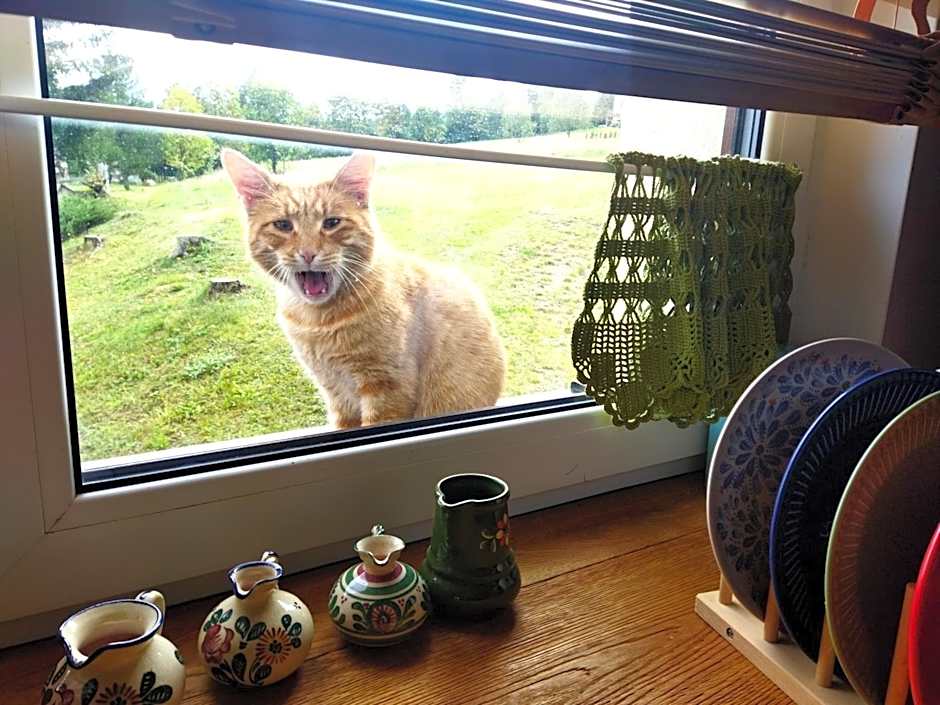 Pokoje goscinne u Olguni