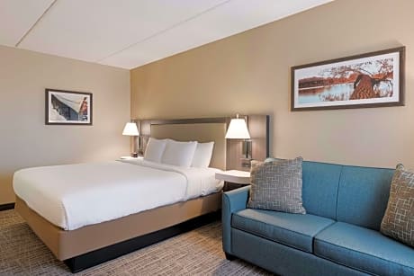 King Suite with Sofa Bed