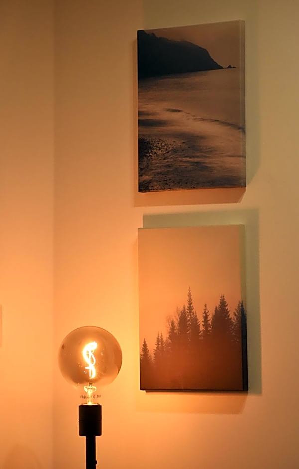 HABITAT- Apartments&Rooms