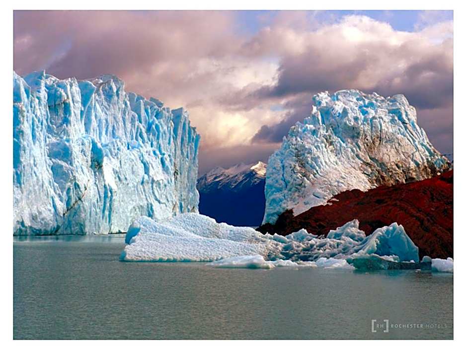 Rochester Calafate