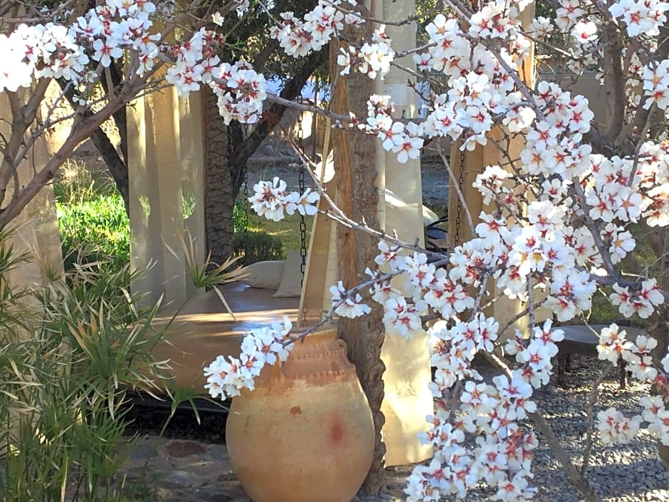 Les Jardins De Skoura