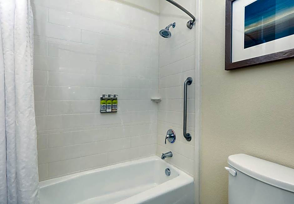 Holiday Inn Express & Suites San Antonio - Brooks City Base By IHG