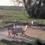 Double room on farm (La ferme du Tao)