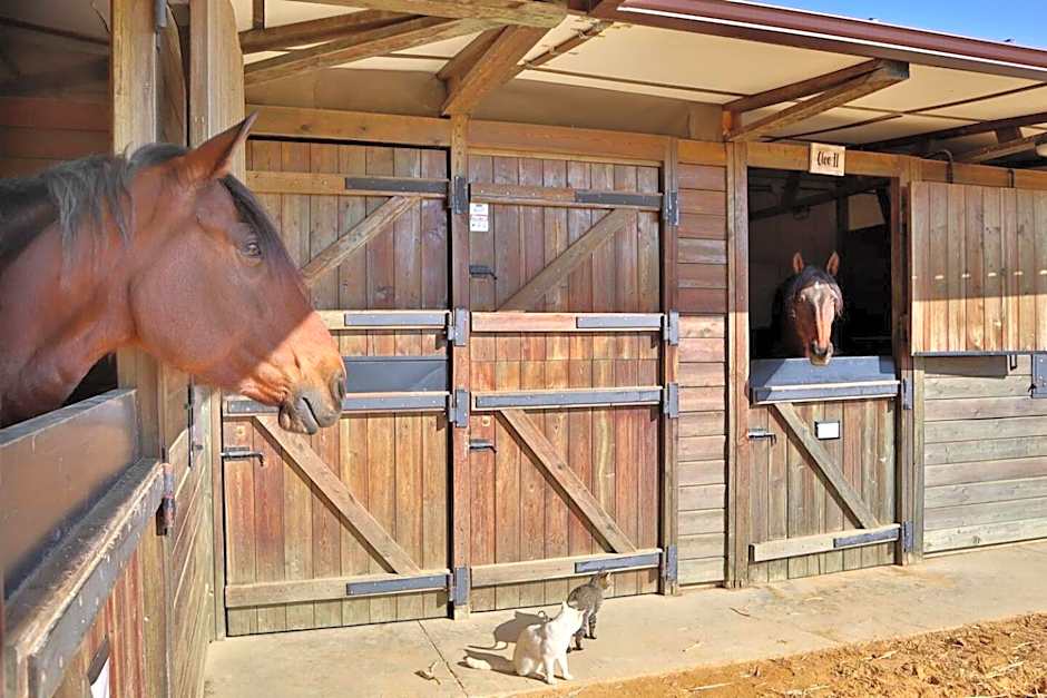 Casa Ecuestre Carmen Martínez