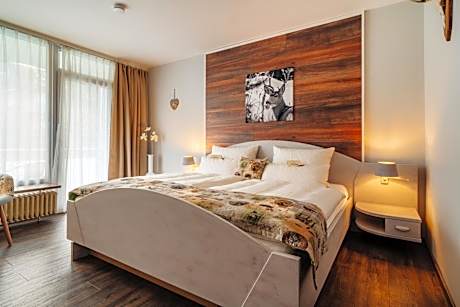 Comfort Plus Double Room