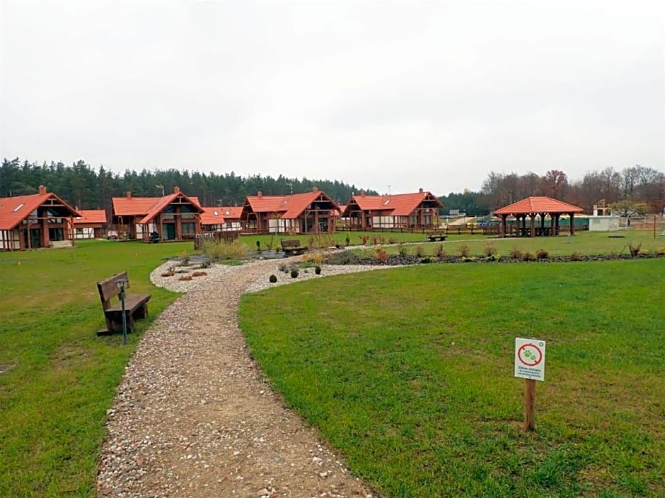 Domek z basenem nad jeziorem Gwiazdy, Ostoja Bukowo, Kaszuby