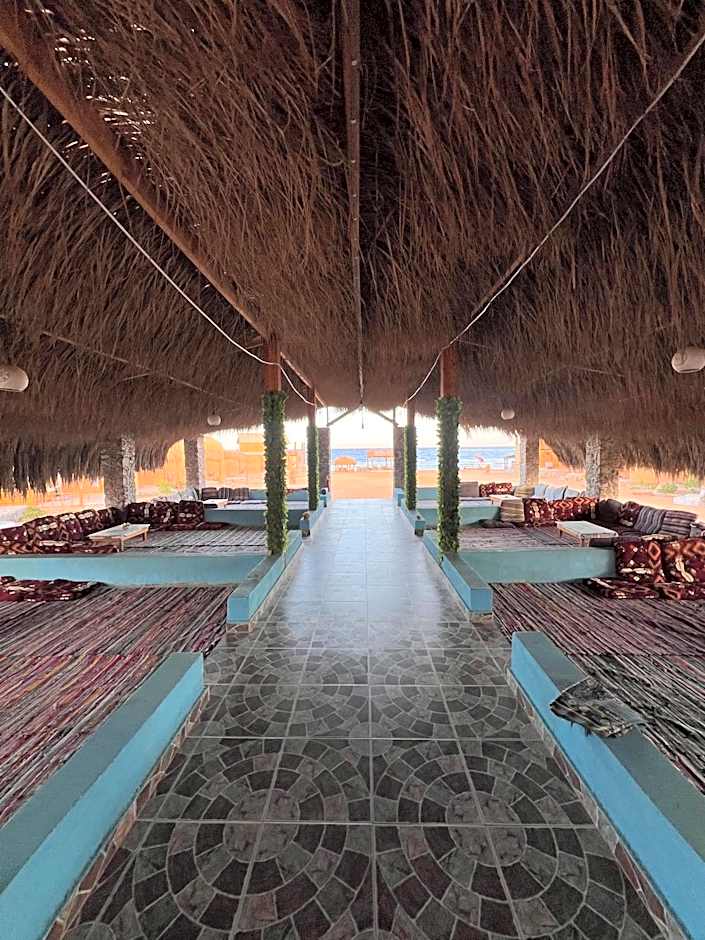 Full Moon Camp Sinai