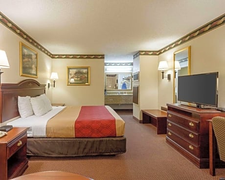 1 King Bed Suite Nonsmoking