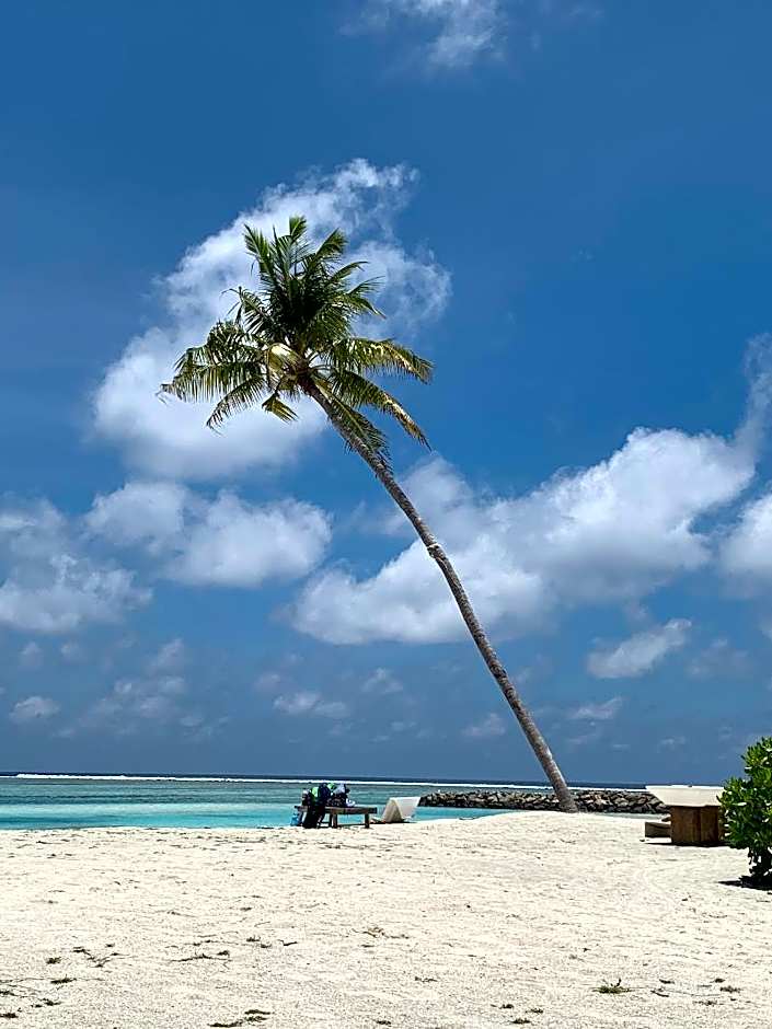 Courtyard Guesthouse