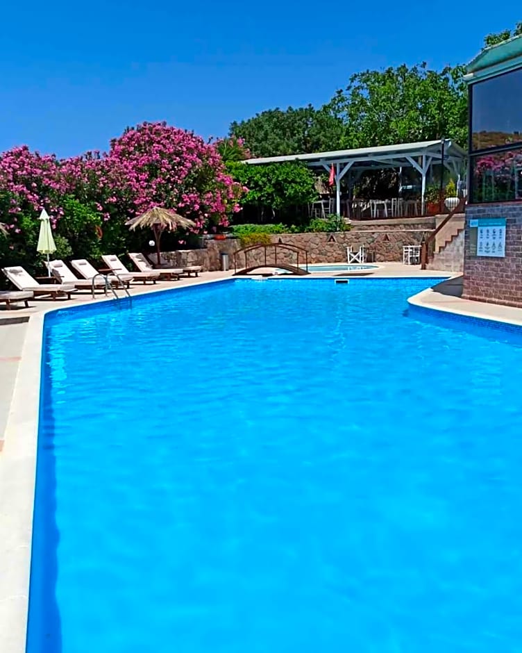 Orfeas Studios Molivos