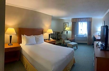 Queen Suite with Wet Bar