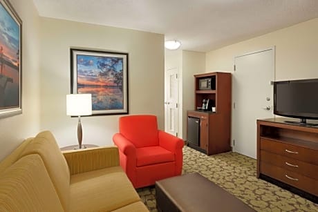 Junior King Suite with Seating Area