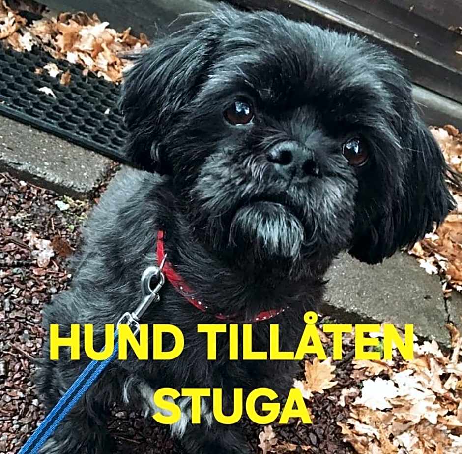 Mora Life, Åmåsängsgården