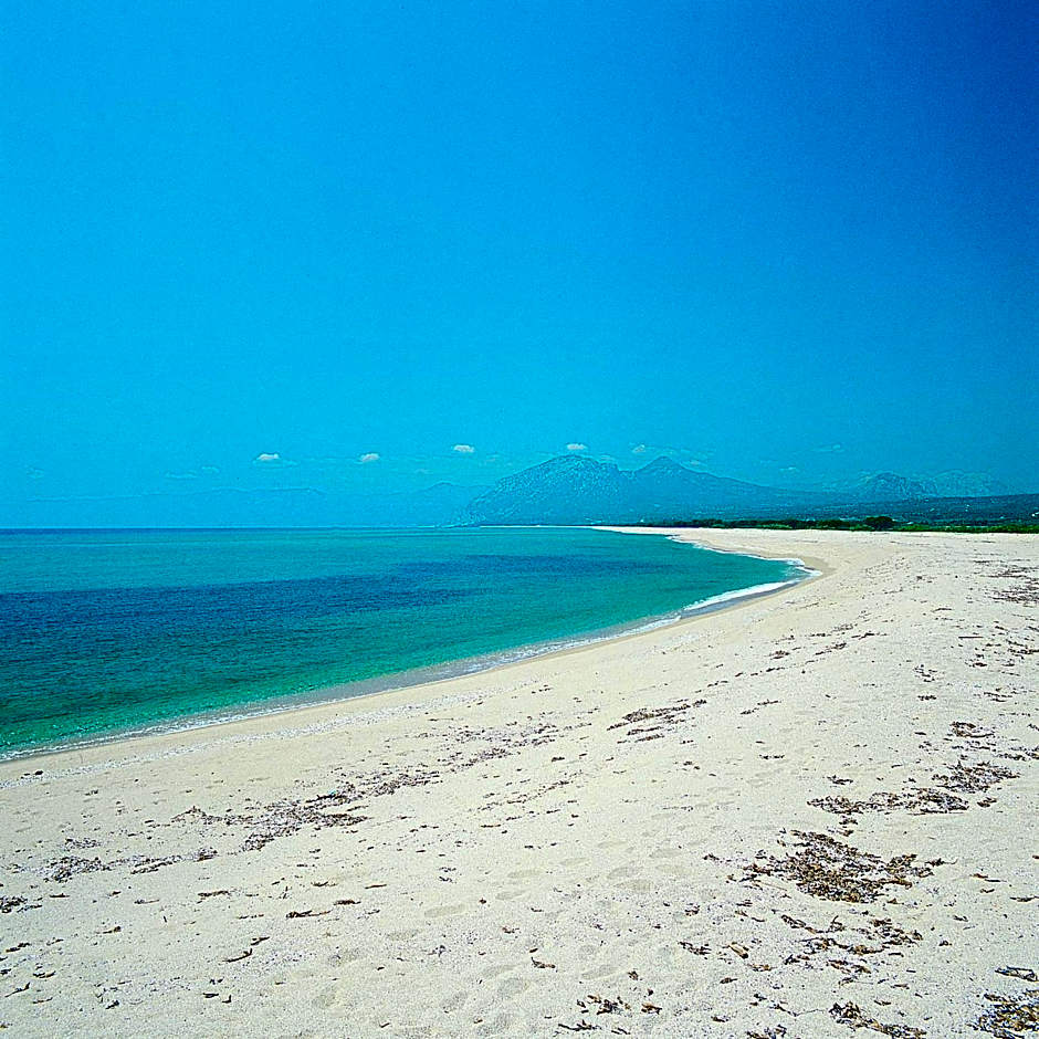 Residence Marina Palace