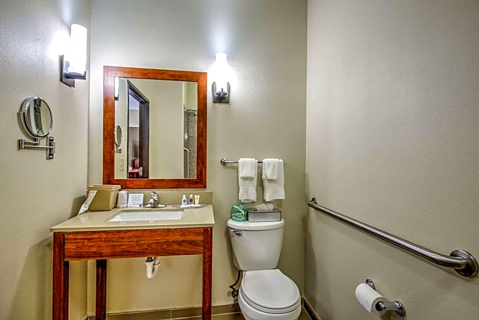 Comfort Suites Tomball Medical Center