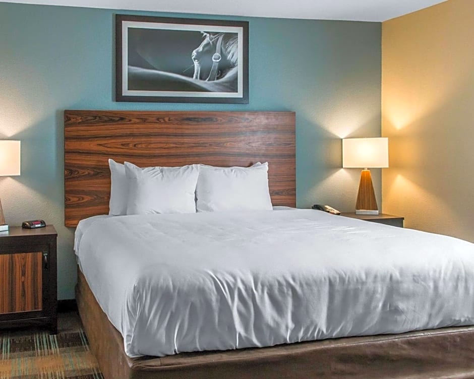 Photo 1 of 3 of 1 King Bed Suite, Accessible