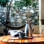 Oriundo Luxury Nature Villas