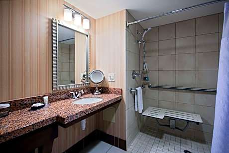 Queen Studio Suite with Roll-In Shower- Mobility Accessible