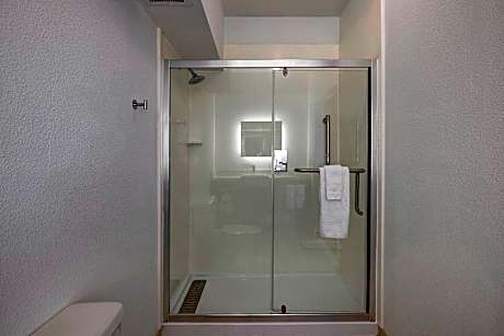 Suite, 1 King Bed with Sofa bed (1 King Bed and 1 Double Sofa Bed)