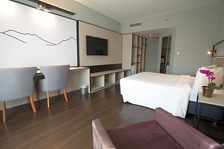 SUITE SUPERIOR QUEEN NON SMOKING