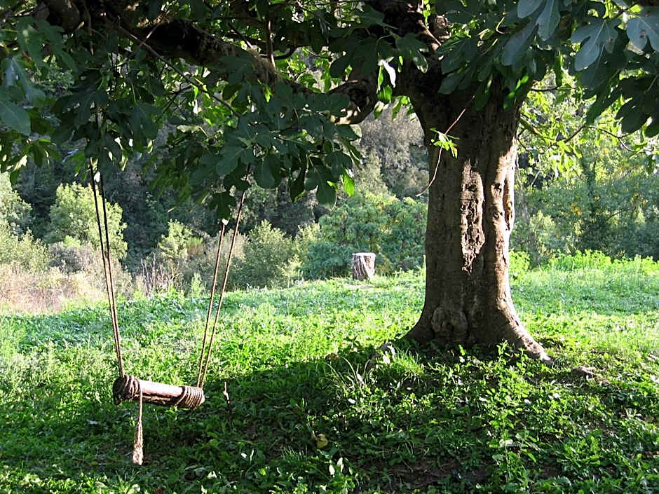 Bed and Breakfast Casanova de Sant Miquel