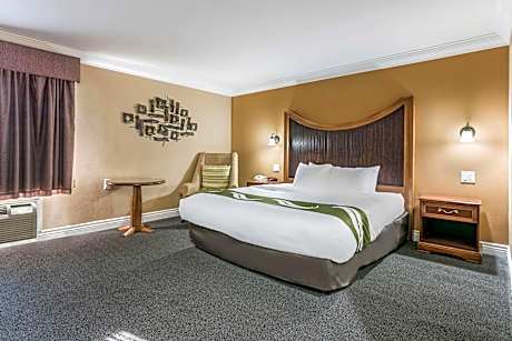 1 King Bed, Nonsmoking, Accessible