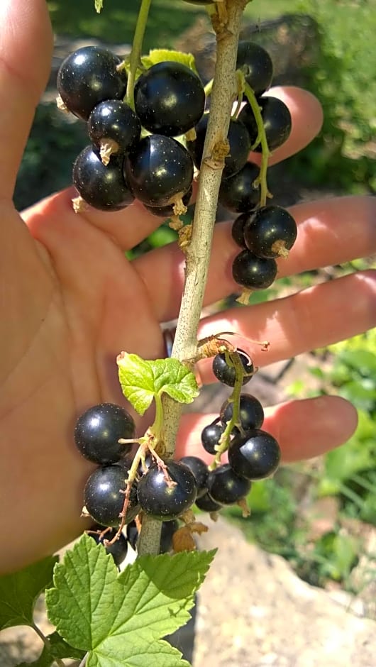 Casa Dell'Arciprete B&B