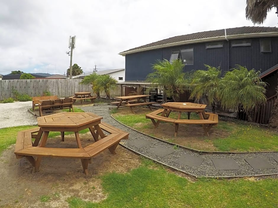 Turtlecove Hostel Accommodation