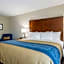 Comfort Inn Edwardsville - St. Louis