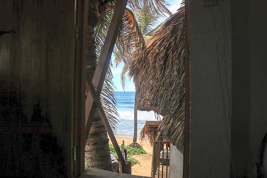 Cafe Maya - Casa Acalli