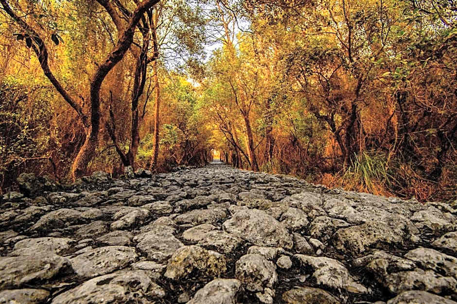 S´Hostal d´Esporles