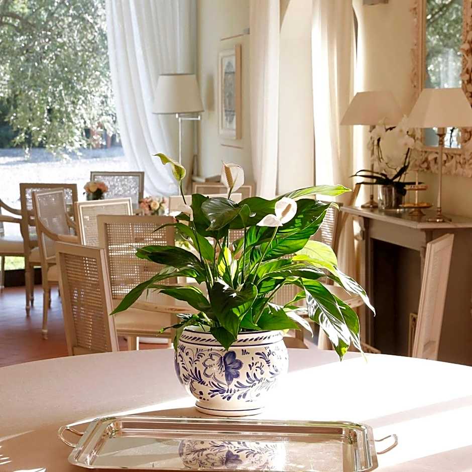 Villa Agnese
